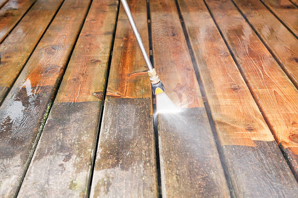 Best Animal Enclosure Cleaning  in Somers, MT